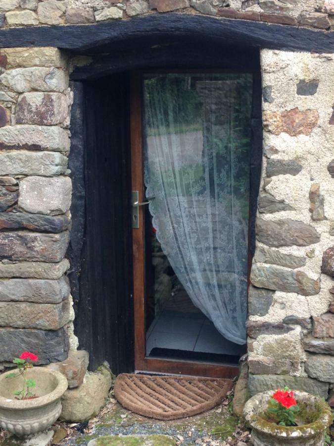 Le Petit Chateau, Matisse Noyal-Pontivy Экстерьер фото